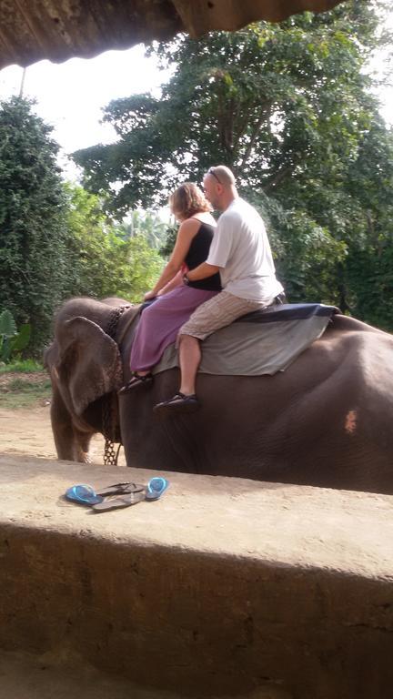 Suwani Pinnawala Homestay Kültér fotó