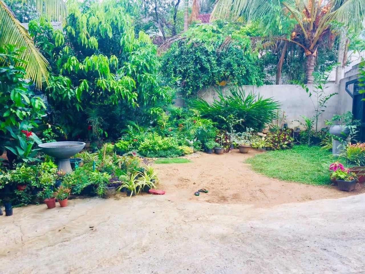 Suwani Pinnawala Homestay Kültér fotó